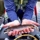 randy-oullette-fishing-guide